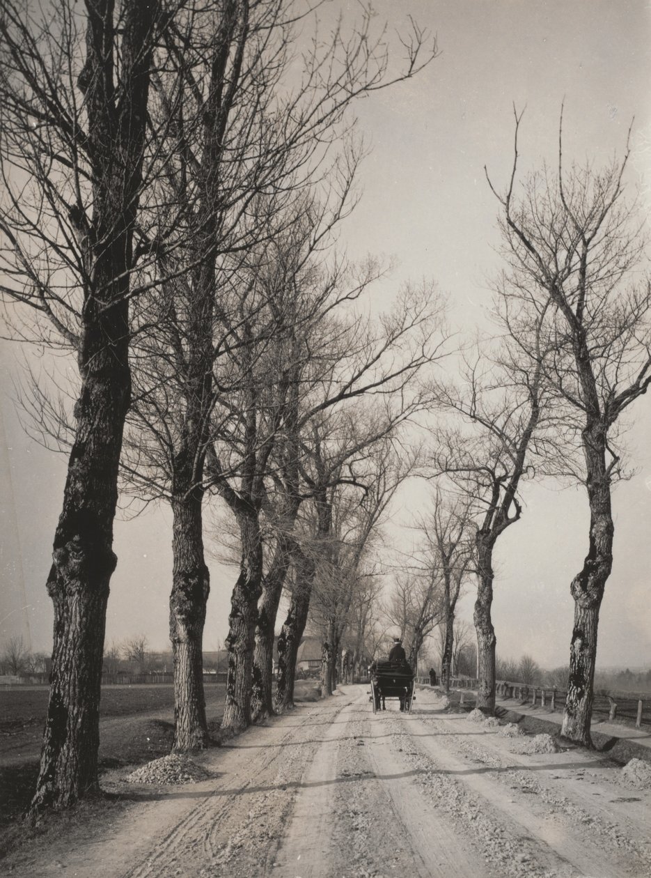 Novemberdagar av Alfred Stieglitz