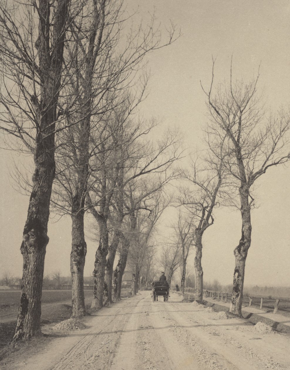 Novemberdagar av Alfred Stieglitz