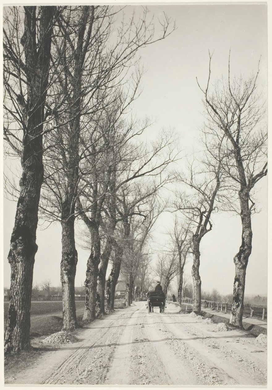 Novemberdagar, 1887, tryckt 192039. av Alfred Stieglitz