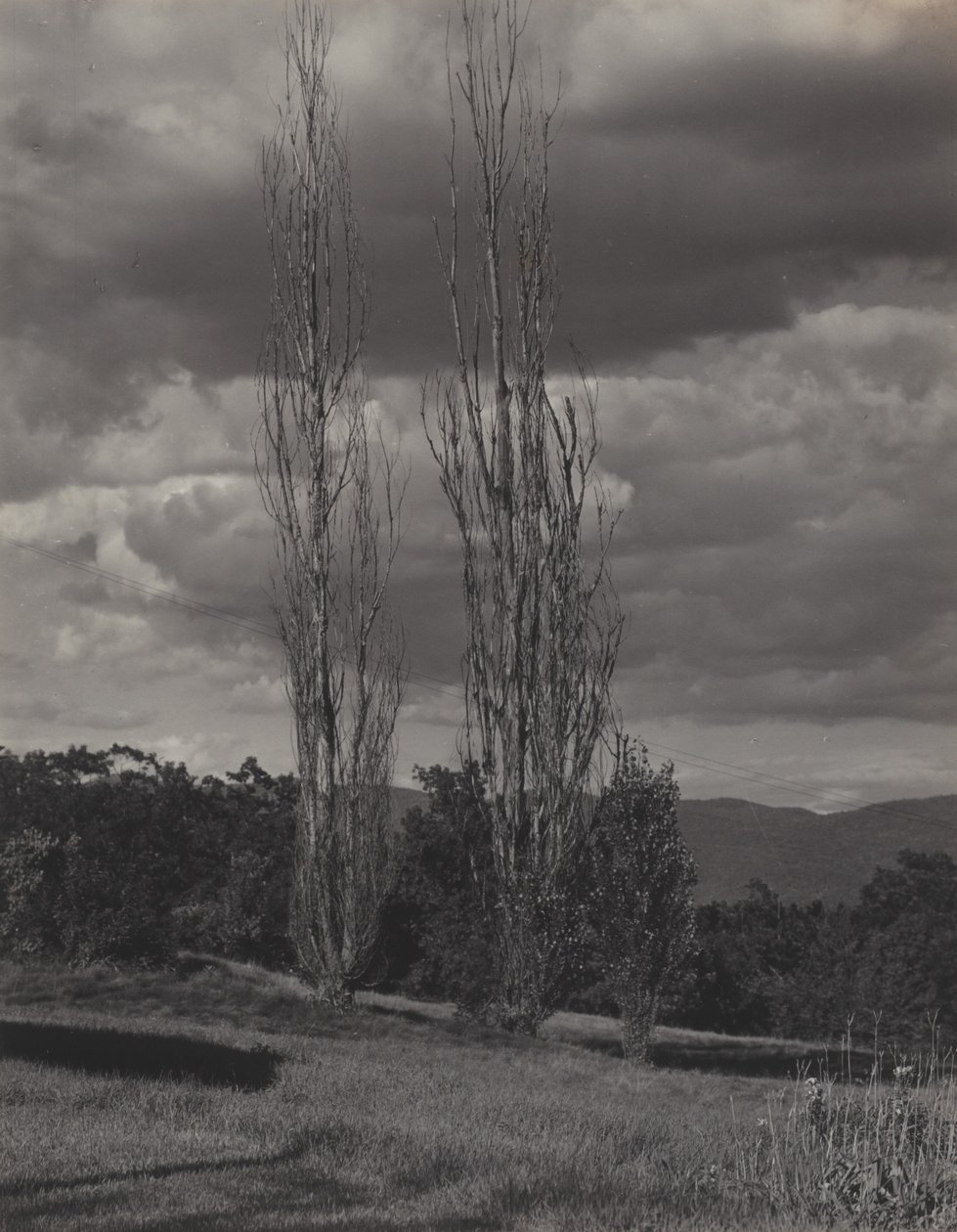 Poppelträd – Lake George av Alfred Stieglitz