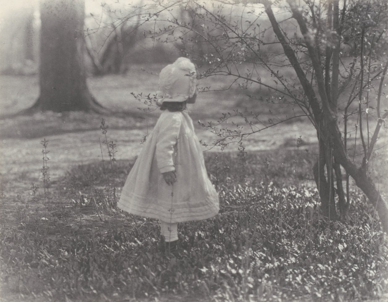 Vår av Alfred Stieglitz