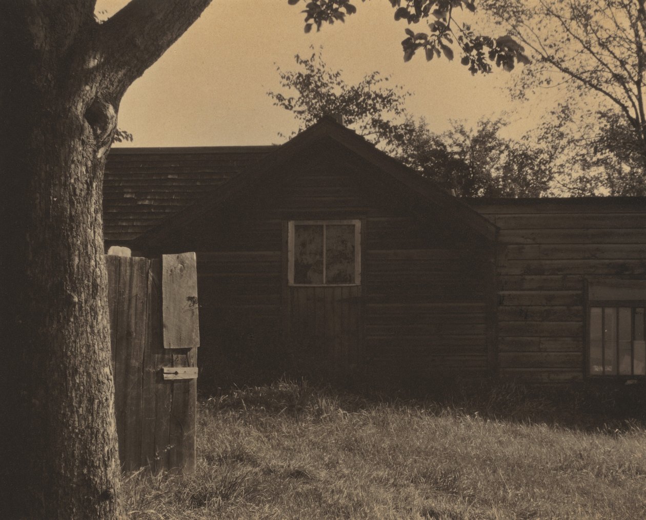 Ladan av Alfred Stieglitz