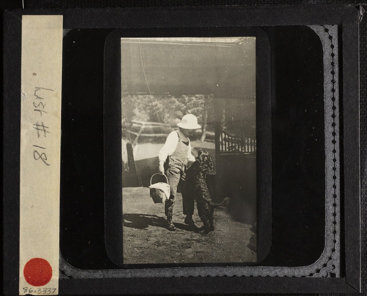 Utan titel brorsdotter Elizabeth med Inky på Oaklawn, ca. 1903. av Alfred Stieglitz