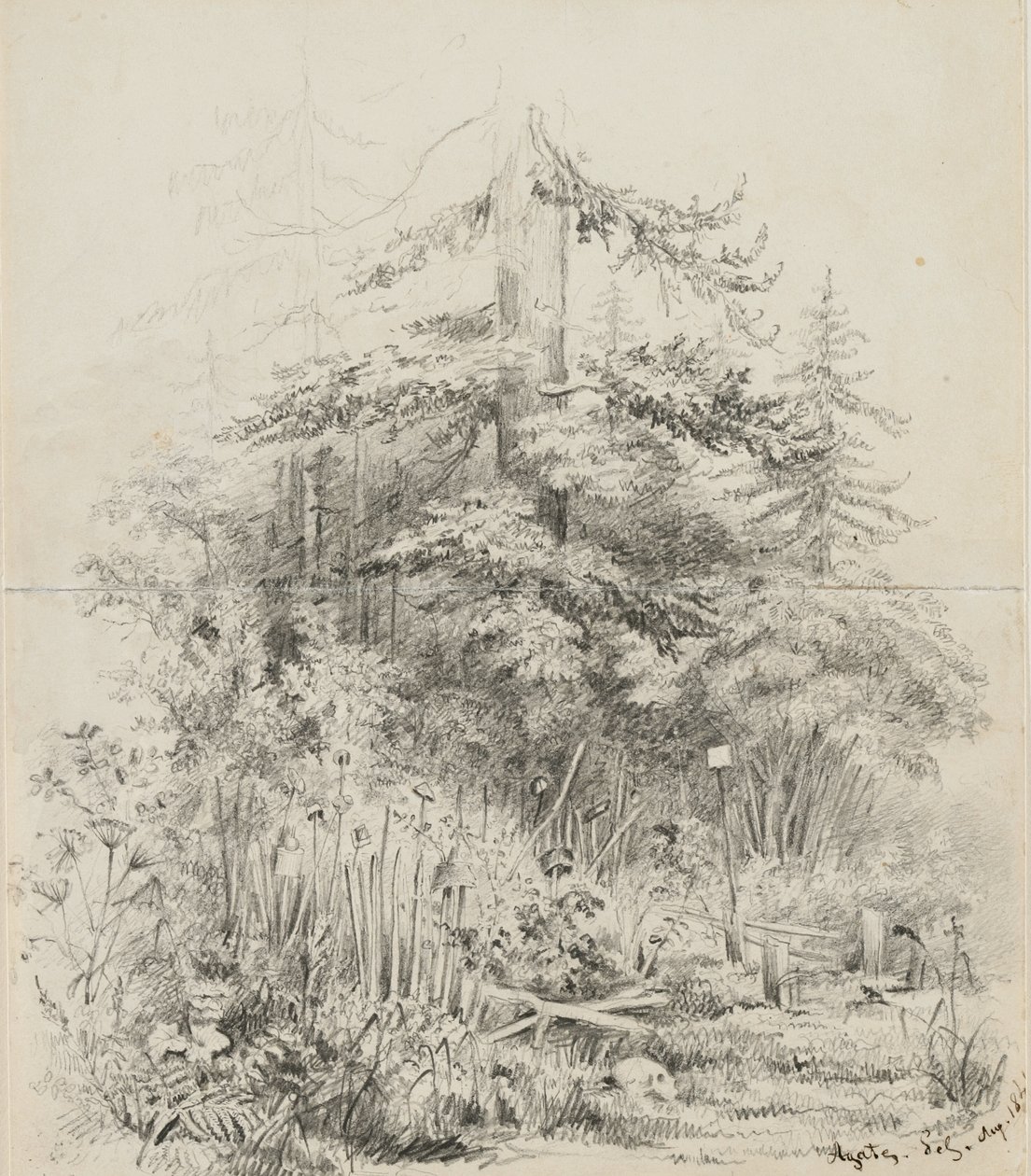 Indian Burial Place, Oregon, 1841 (grafit på två falsade skissboksark av krämvävt papper) av Alfred Thomas Agate