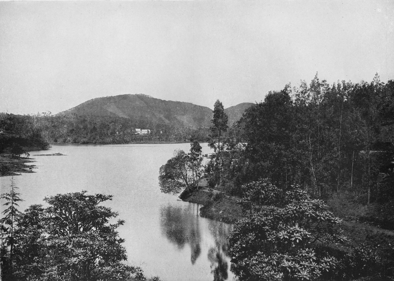A Corner of Nuwara Eliya Lake, c1890, 1910 av Alfred William Amandus Plate