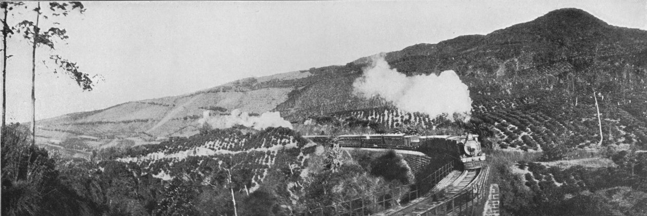 En scen på Up-Country Railway. Passerar en tegård på Nanu Oya, c1890, 1910 av Alfred William Amandus Plate