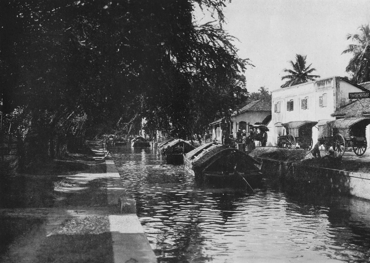 Negombo-kanalen, visar paddabåtar, c1890, 1910 av Alfred William Amandus Plate