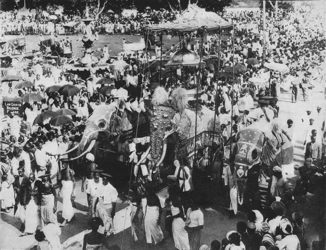 Helig elefant i Perahera-processionen, Kandy, Ceylon, c1890, 1910 av Alfred William Amandus Plate