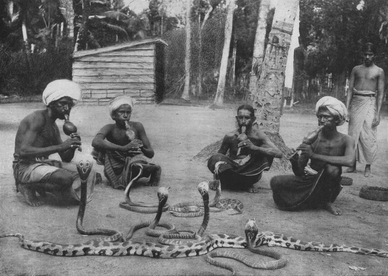 Snake Charmers, c1890, 1910 av Alfred William Amandus Plate