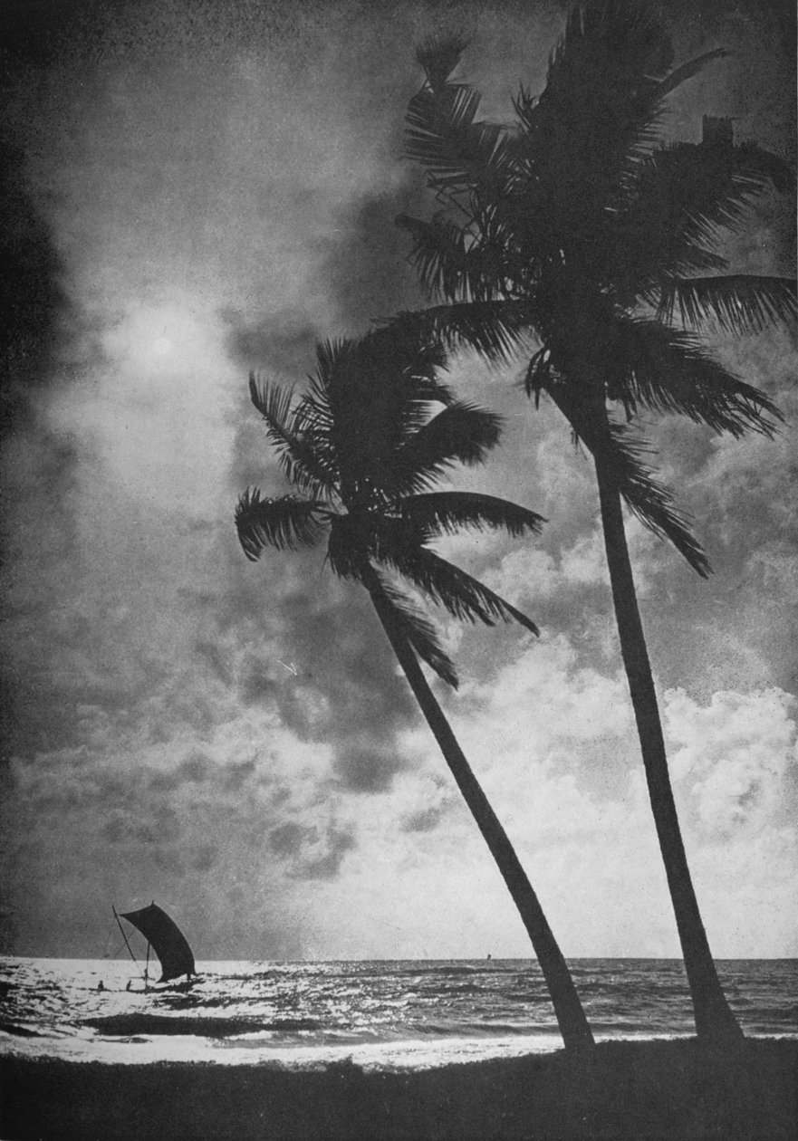 The Palm Fringed Shore at Sunset, c1890, 1910 av Alfred William Amandus Plate