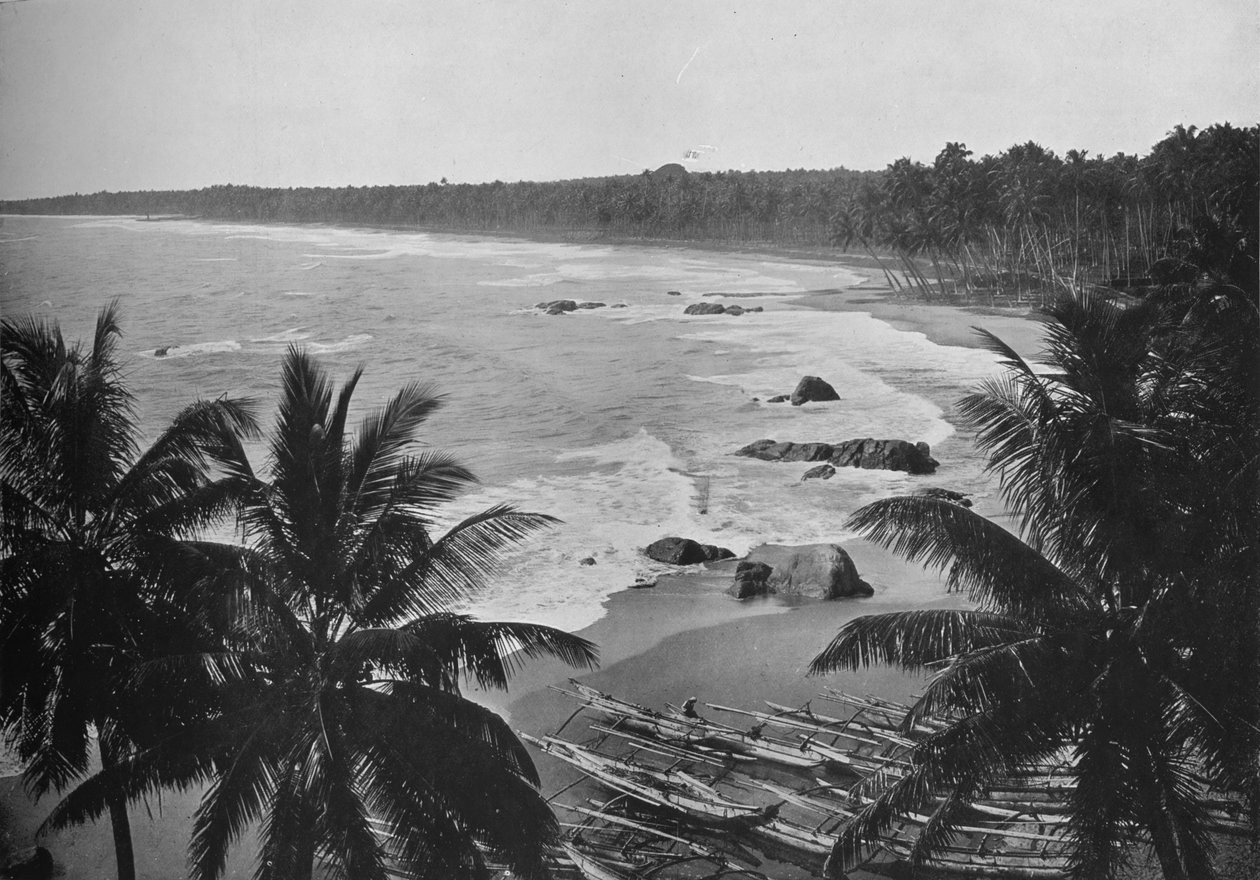 Utsikt från Mount Lavinia, visar kokosnötspalmer längs stranden, c1890, 1910 av Alfred William Amandus Plate
