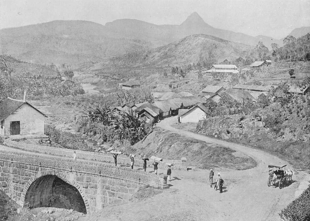 Vy över Maskeliya som visar Adams Peak, c1890, 1910 av Alfred William Amandus Plate