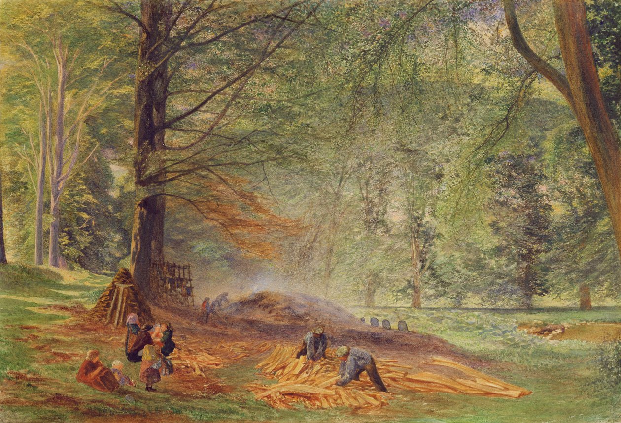 Kolbrännare i Rokeby Park (akvarell på papper) av Alfred William Hunt