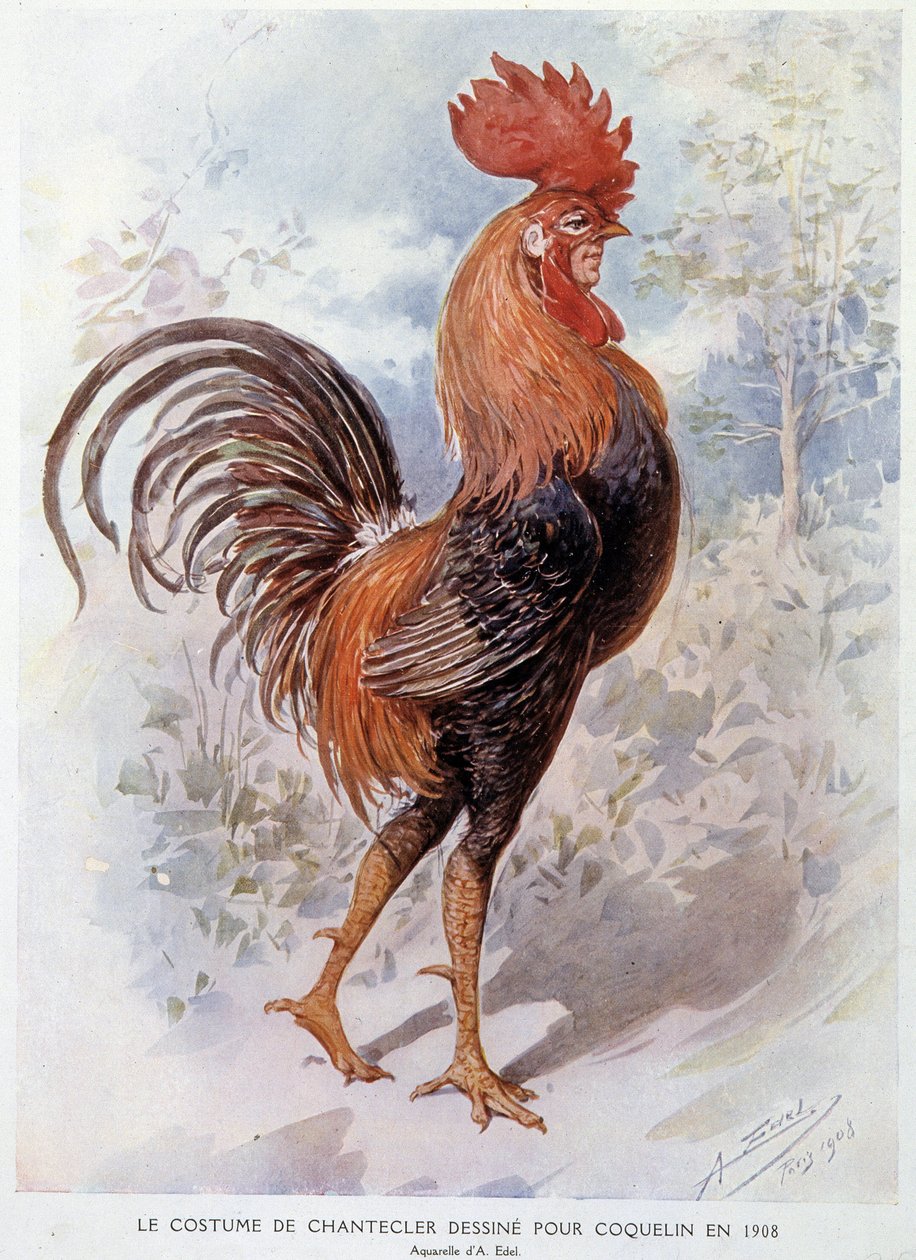 Chantecler Rooster Costume designad för Constant Poppy 1908, pjäs på vers av Edmond Rostand av Alfredo Edel