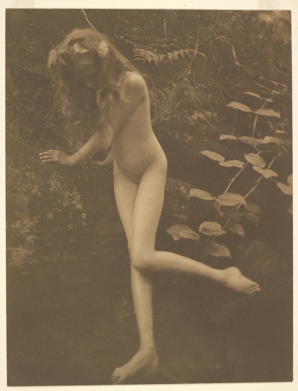 [Naken tjej] av Alice Boughton