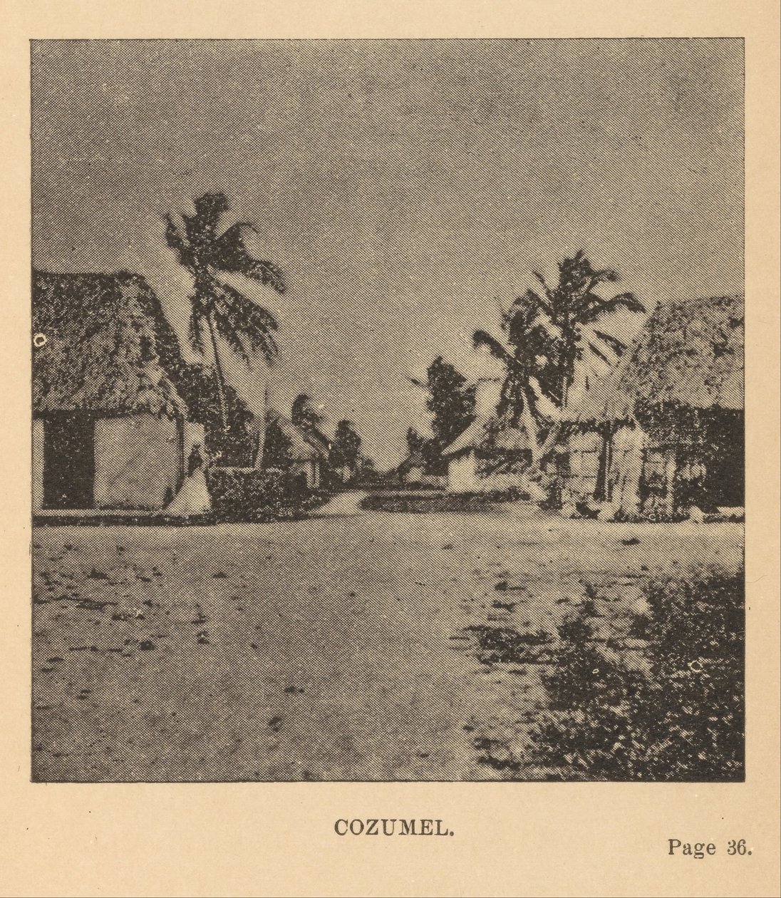 Cozumel av Alice Dixon Le Plongeon