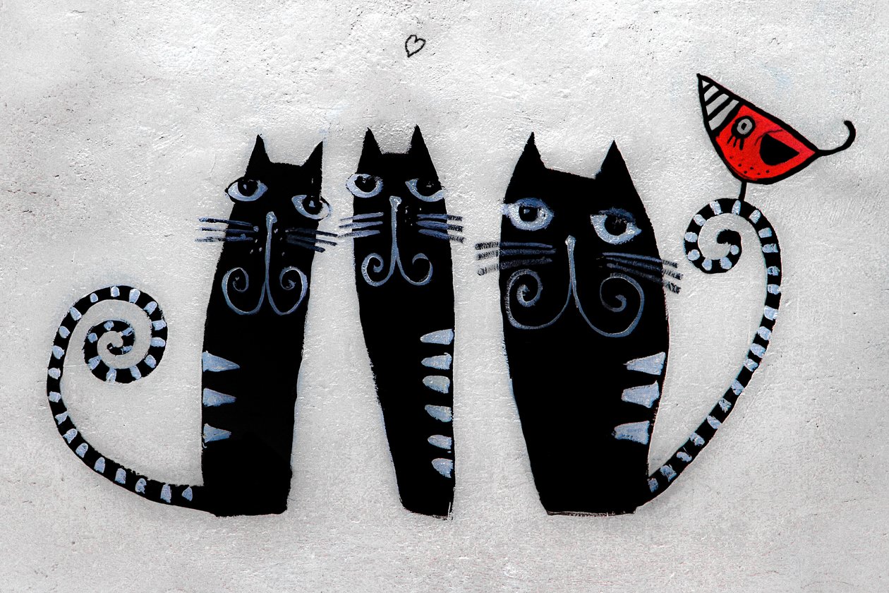 3 katter från Krakow, 2019 (fotografi) av Alice Gur-Arie
