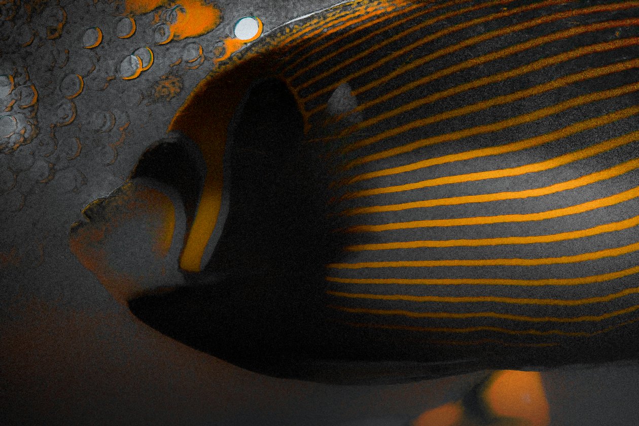 Bubbles and Stripes, 2018 (handmålat fotografi) av Alice Gur Arie