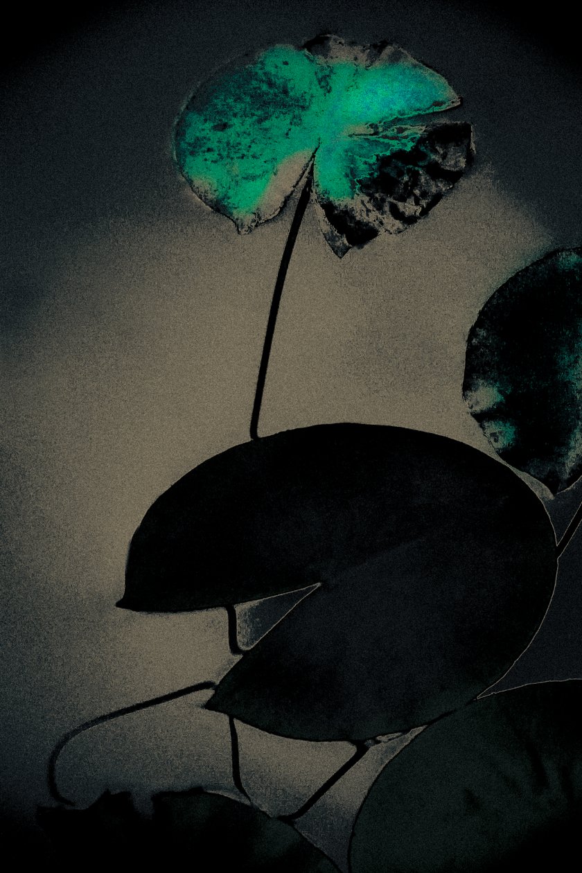 Emerald Spring, från serien Spring, 2020 (handmålat fotografi) av Alice Gur-Arie