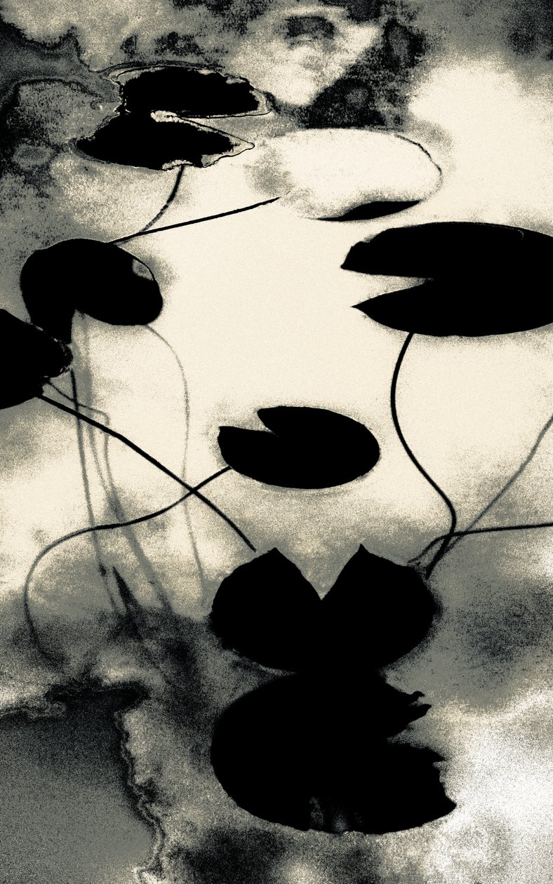 Gold Dust Shadows, från serien Spring, 2020 (handmålat fotografi) av Alice Gur Arie