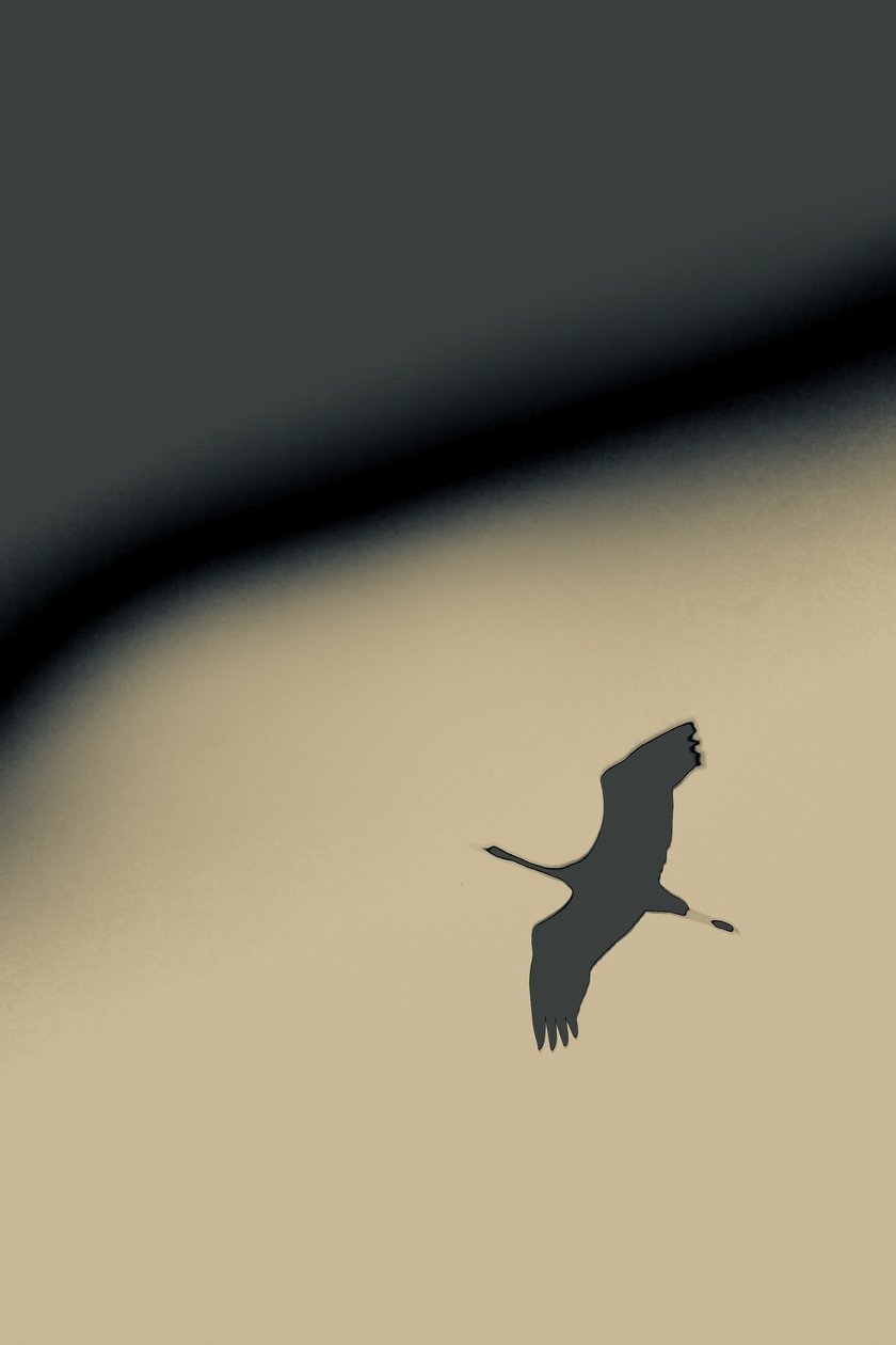 Into the Void, 2016 (fotografi) av Alice Gur-Arie