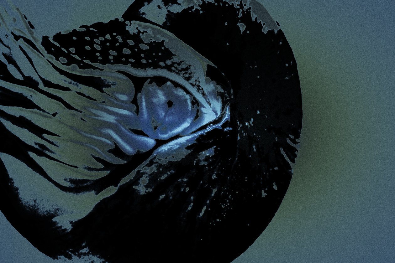 Nautilus, 2018 (handmålat fotografi) av Alice Gur Arie