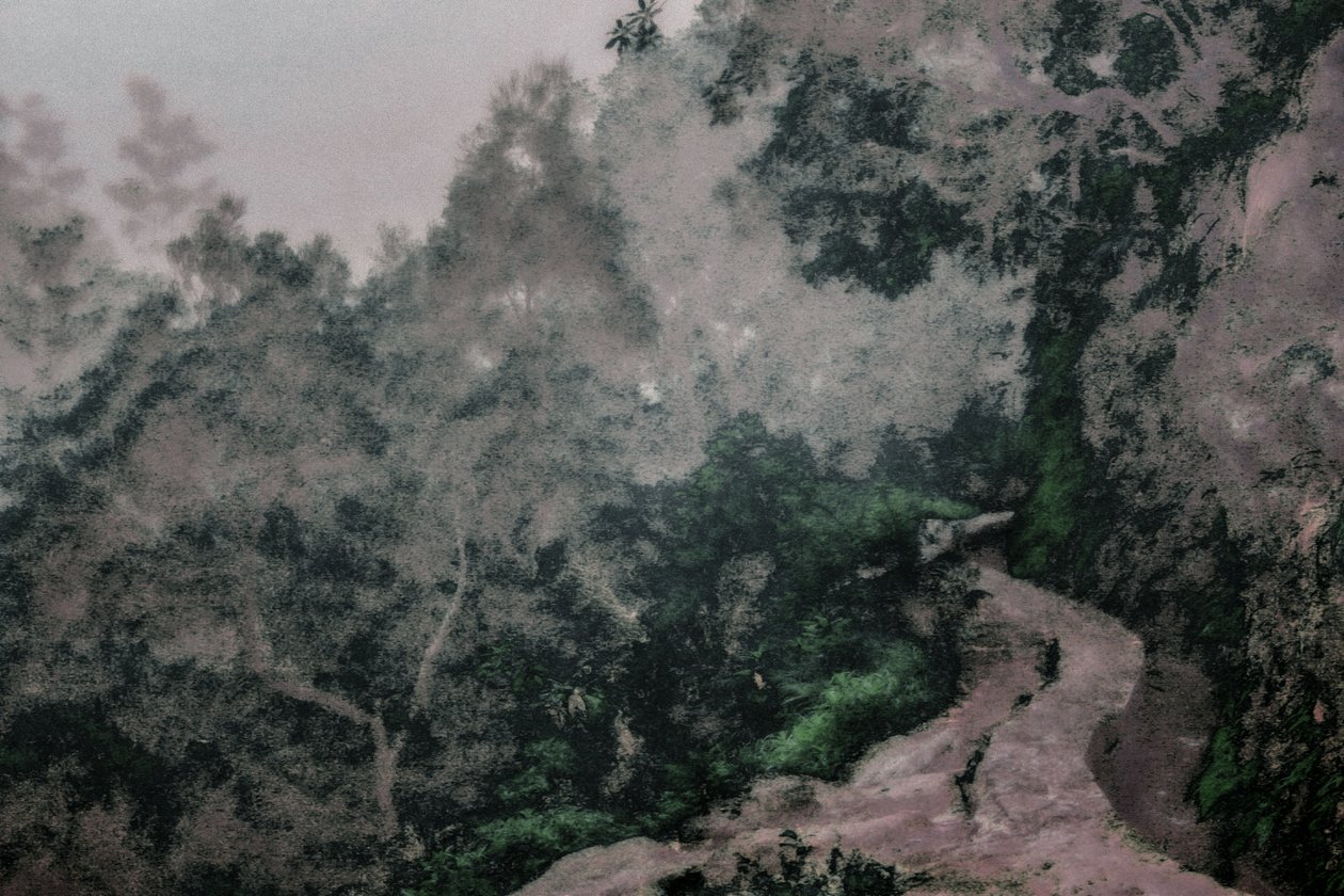 Path on the Levadas, 2020 (handmålat fotografi) av Alice Gur-Arie