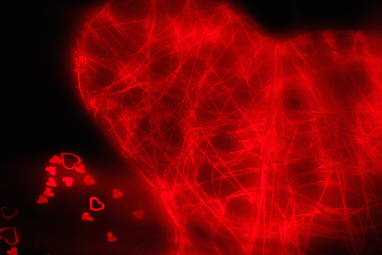 Tangled Heart, från serien Hearts, 2016 (fotografi) av Alice Gur-Arie