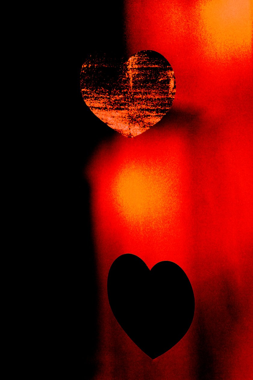 Two Hearts, från serien Hearts, 2016 (fotografi) av Alice Gur Arie