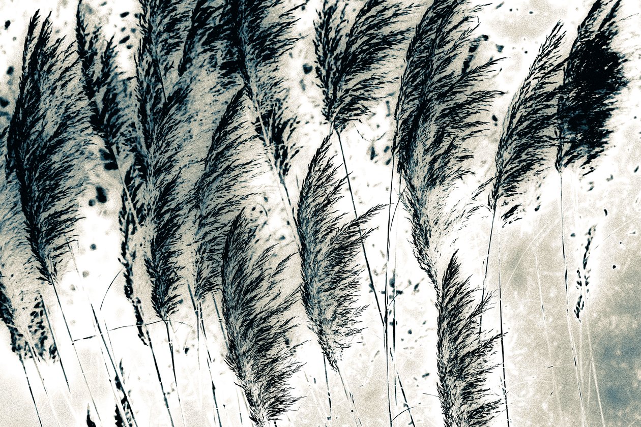 Wind from the West, 2016 (handmålat fotografi) av Alice Gur Arie