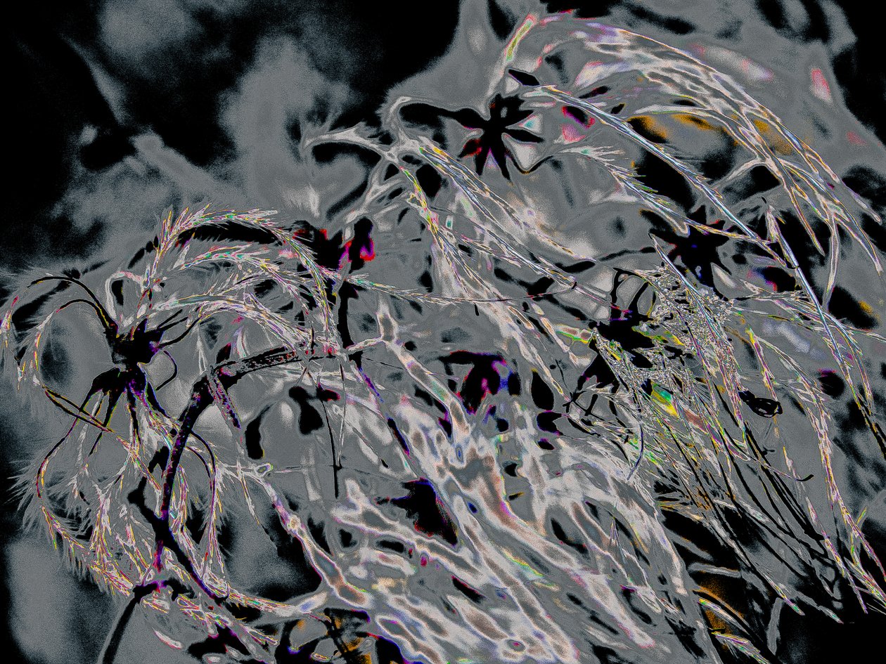Countryfile, 2015 (fotografi) av Alice Gur Arie
