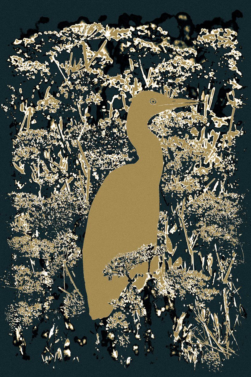 Royal Egret, 2015 (fotografi) av Alice Gur Arie