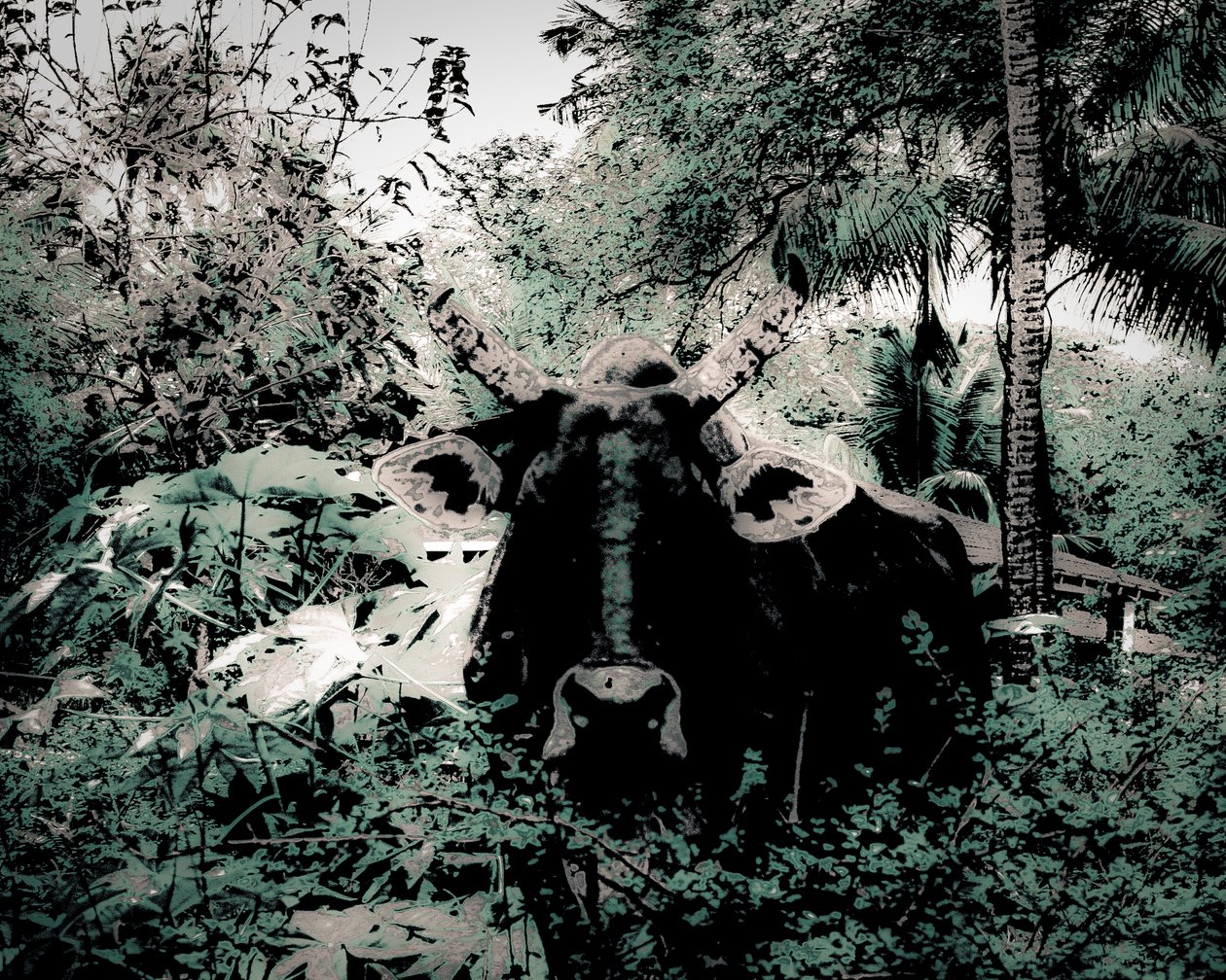 The Lodge Near Periyar, 2020 (målat fotografi) av Alice Gur-Arie