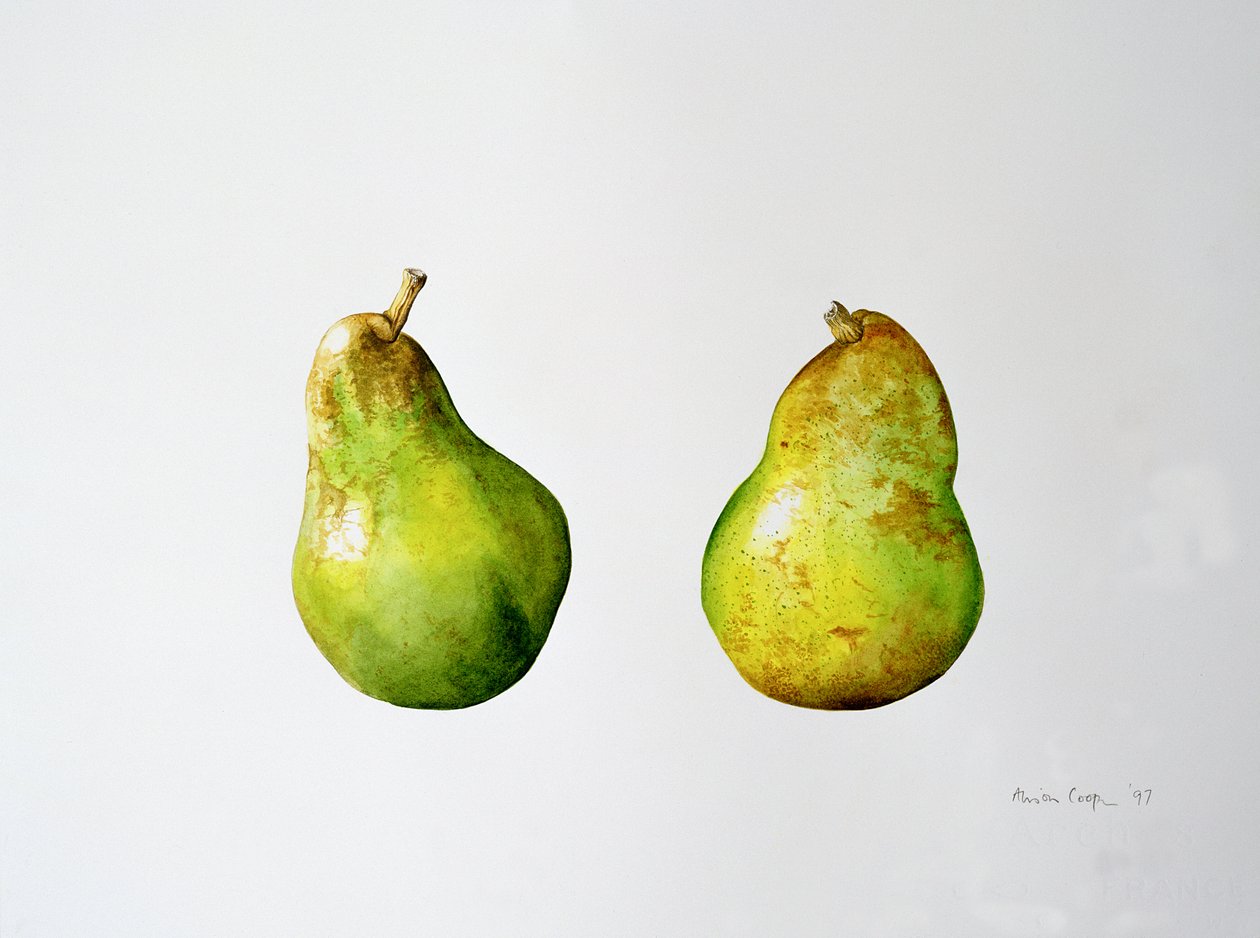 Ett par päron, 1997 av Alison Cooper