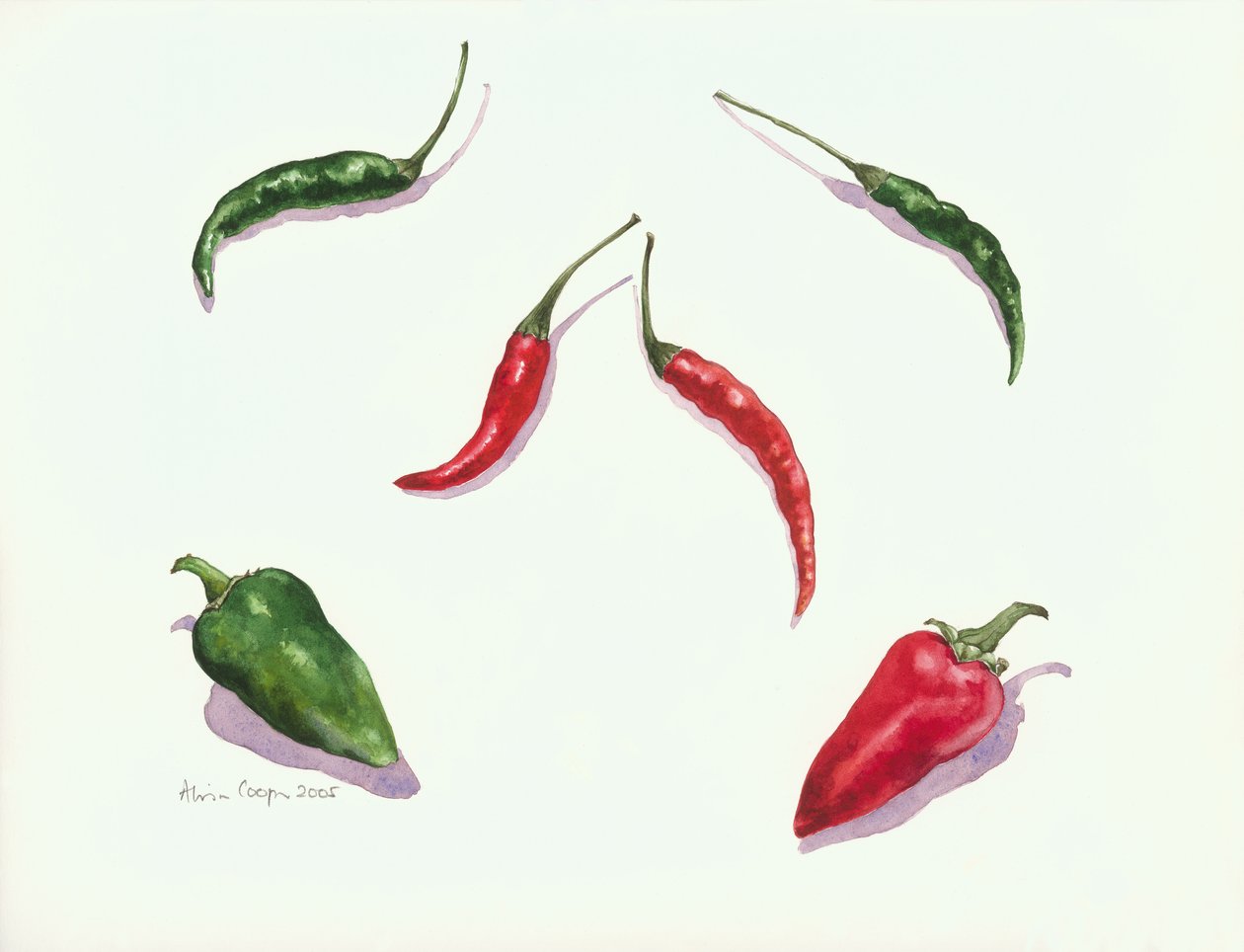 Chili och paprika, 2005 av Alison Cooper
