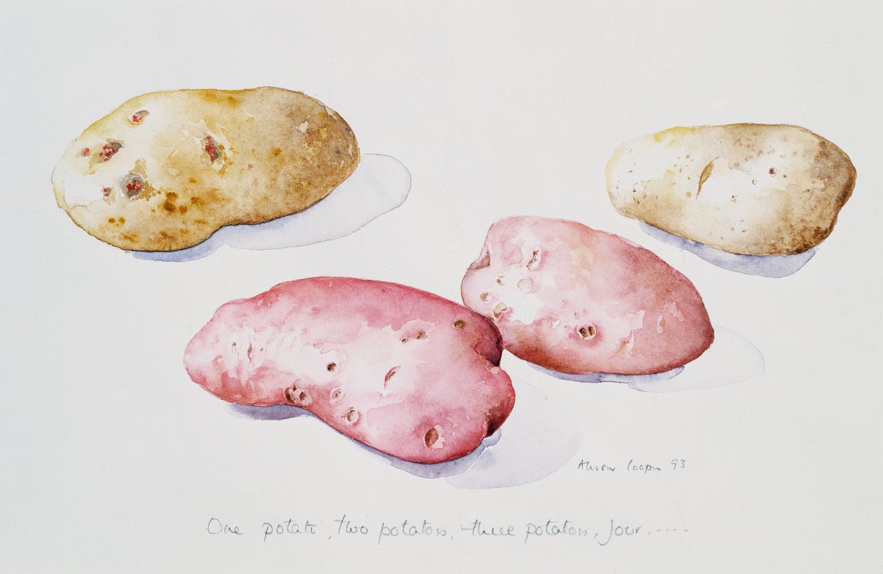 Potatisstudie, 1993 av Alison Cooper