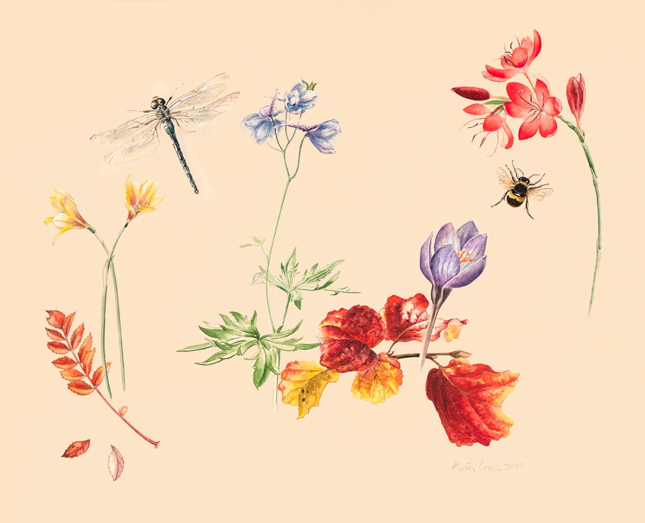 Höstblommor och insekter av Alison Cooper