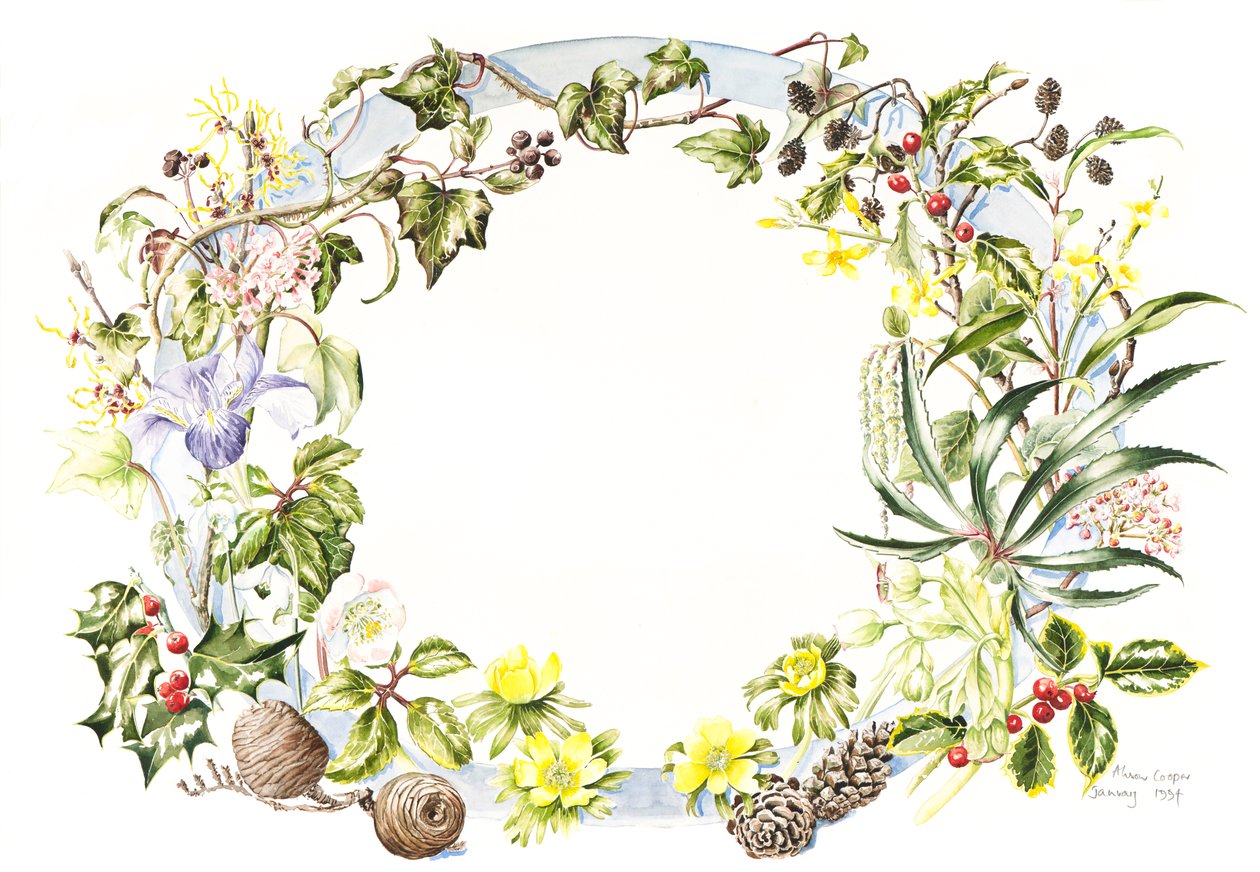 Vintergirland av Alison Cooper