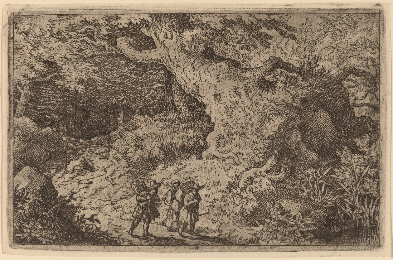 En tjock skog av Allart van Everdingen