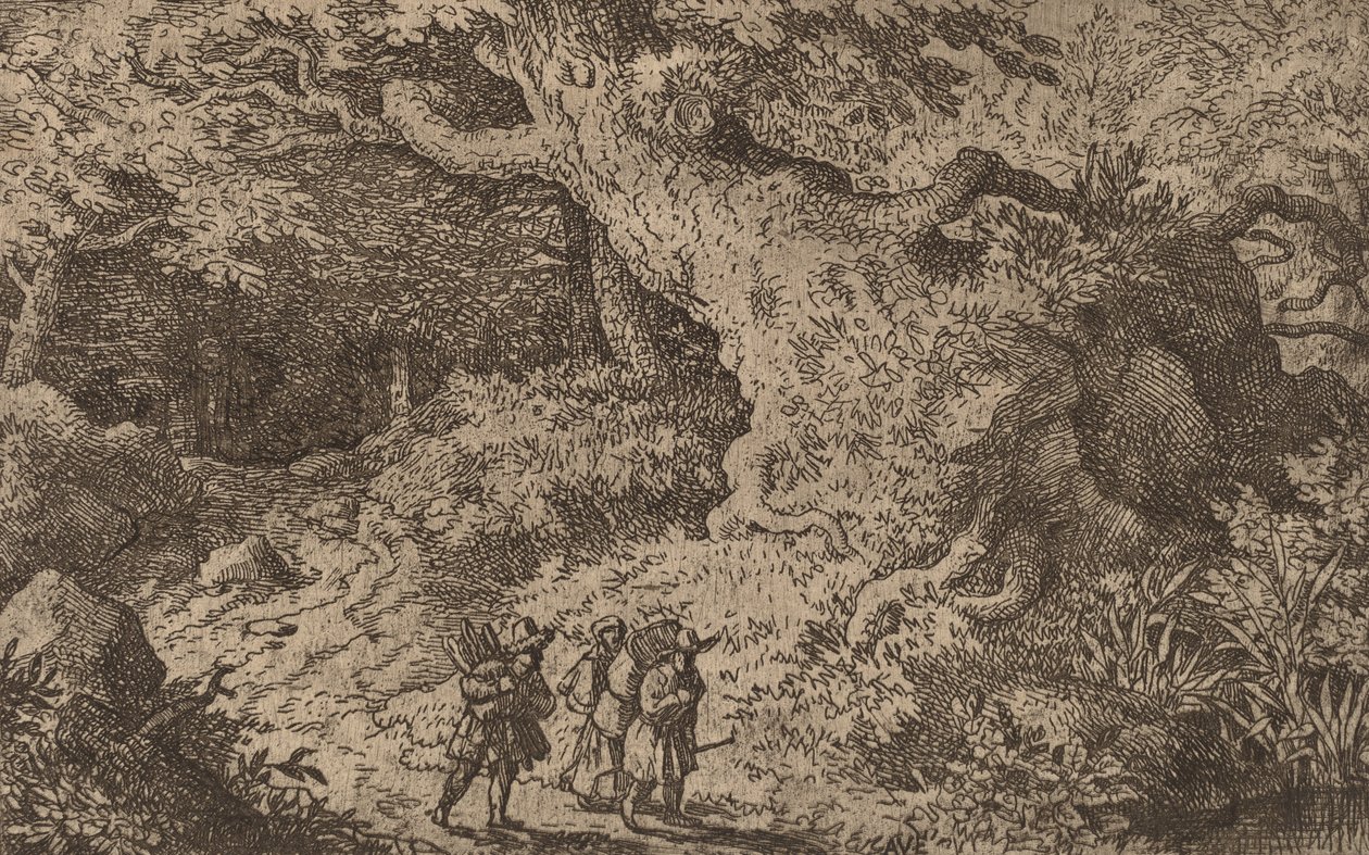 En tjock skog, troligen ca. 16451656. av Allart van Everdingen