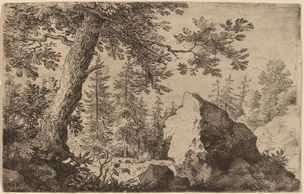 Boulder i skogen av Allart van Everdingen