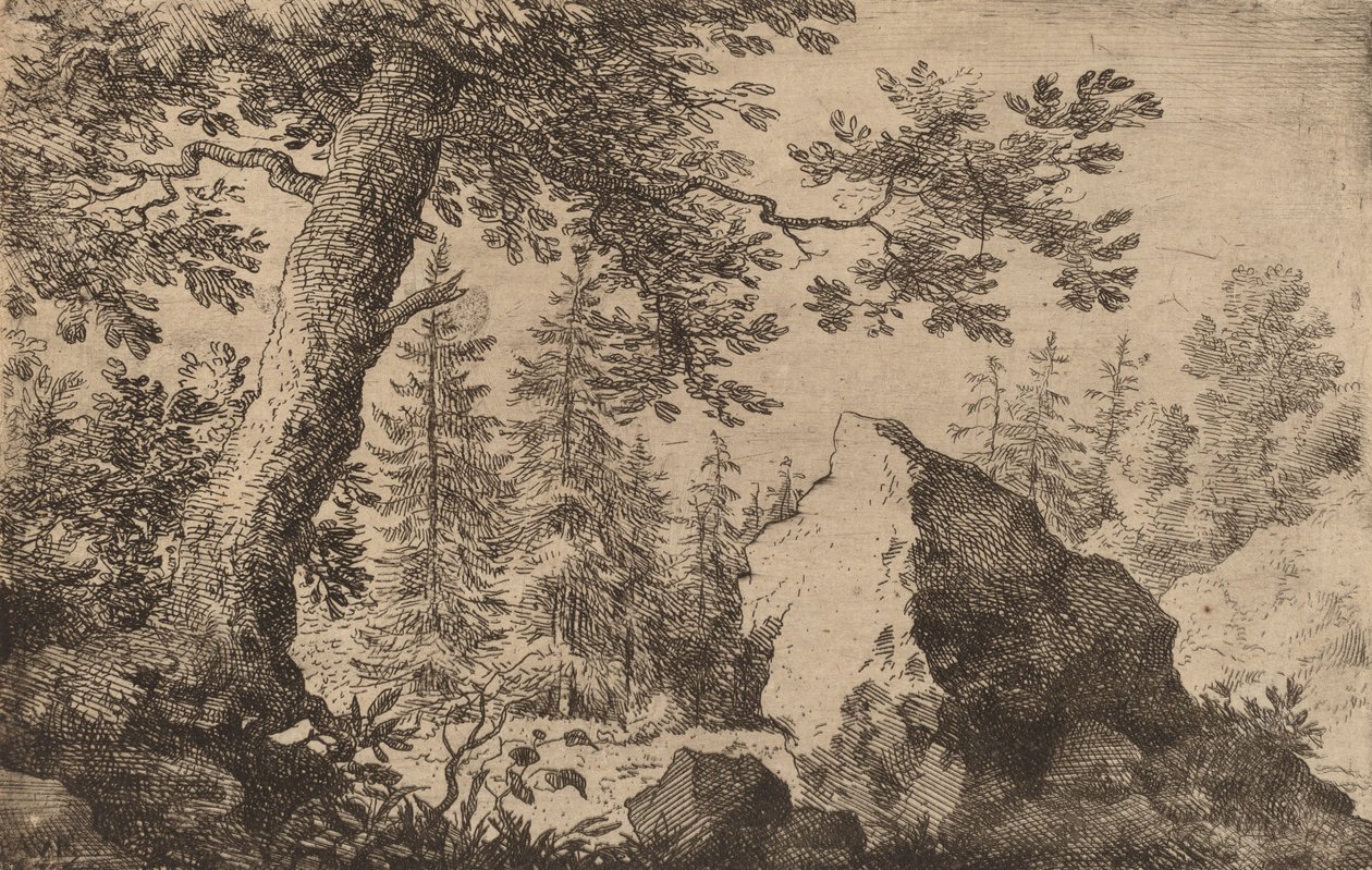 Boulder in the Woods, troligen ca. 16451656. av Allart van Everdingen