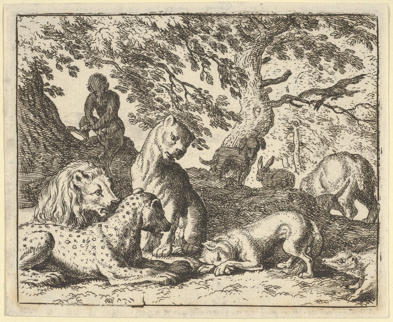 Renard anklagar falskt sin far för att ha konspirerat mot lejonet, 1650-75. av Allart van Everdingen