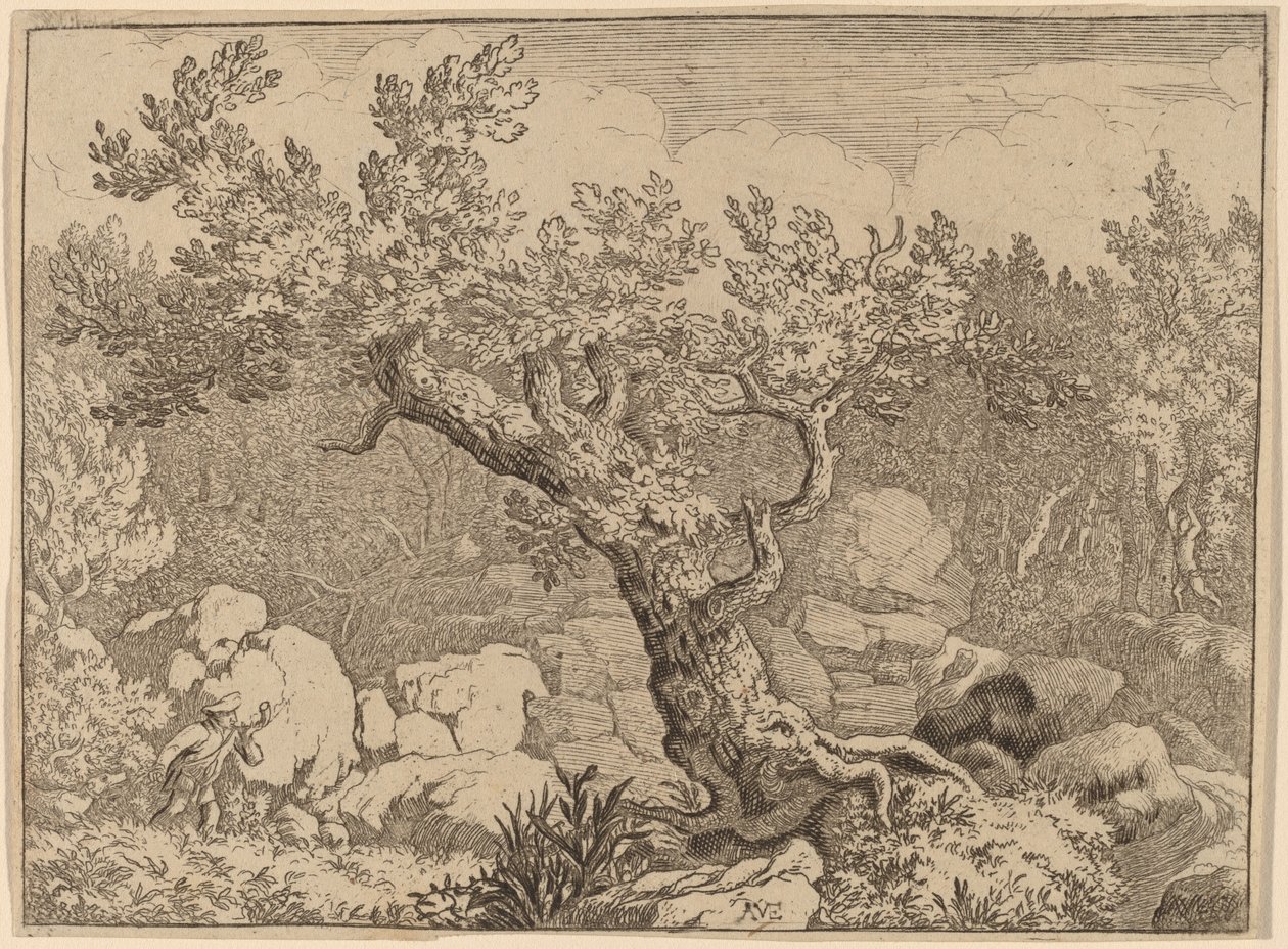 Idrottsman nära ett stort träd, förmodligen ca. 16451656. av Allart van Everdingen