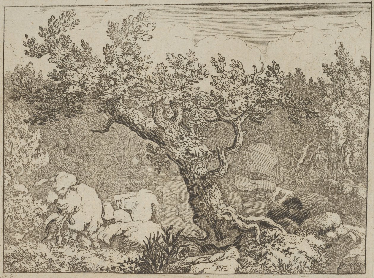 Idrottsmannen nära det stora trädet, 1600-talet. av Allart van Everdingen