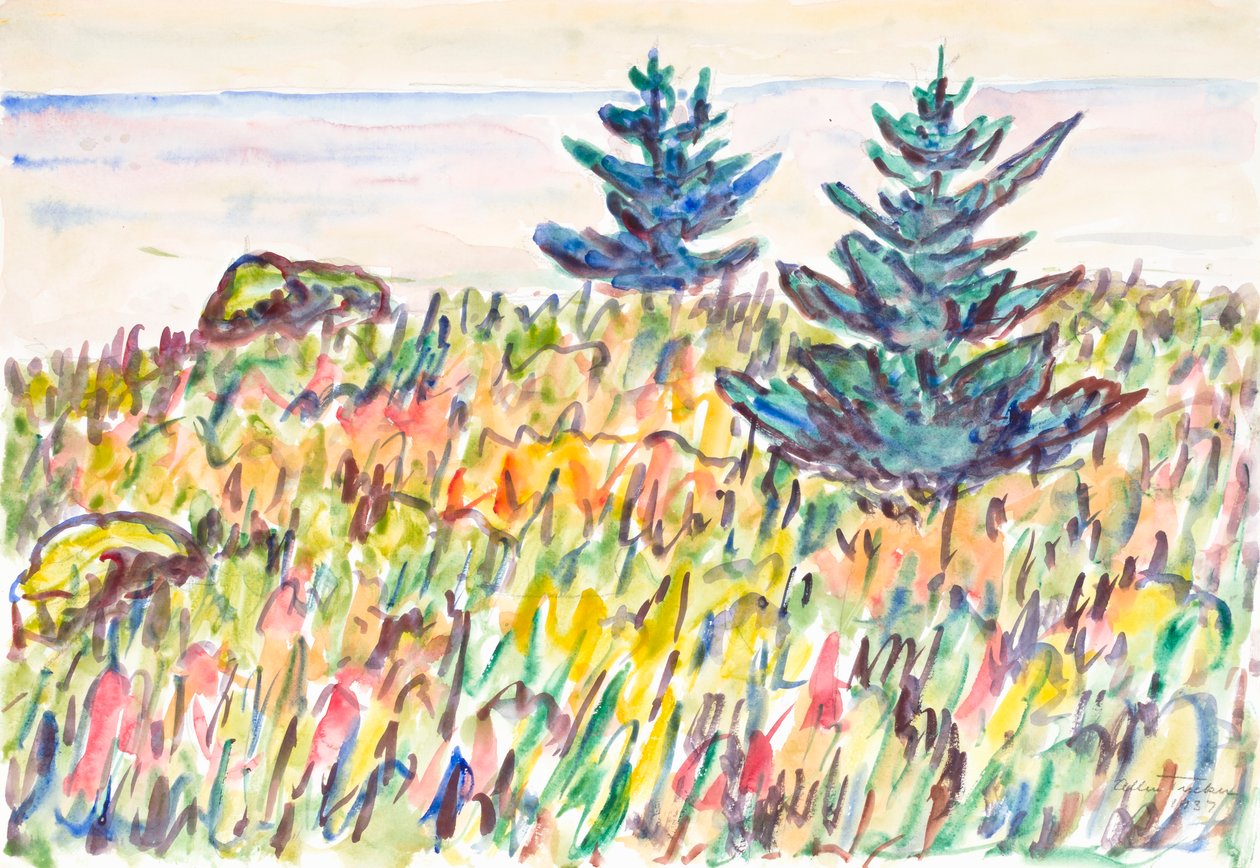 Akvarell nr. 35, Fält med två tallar, 1937. av Allen Tucker