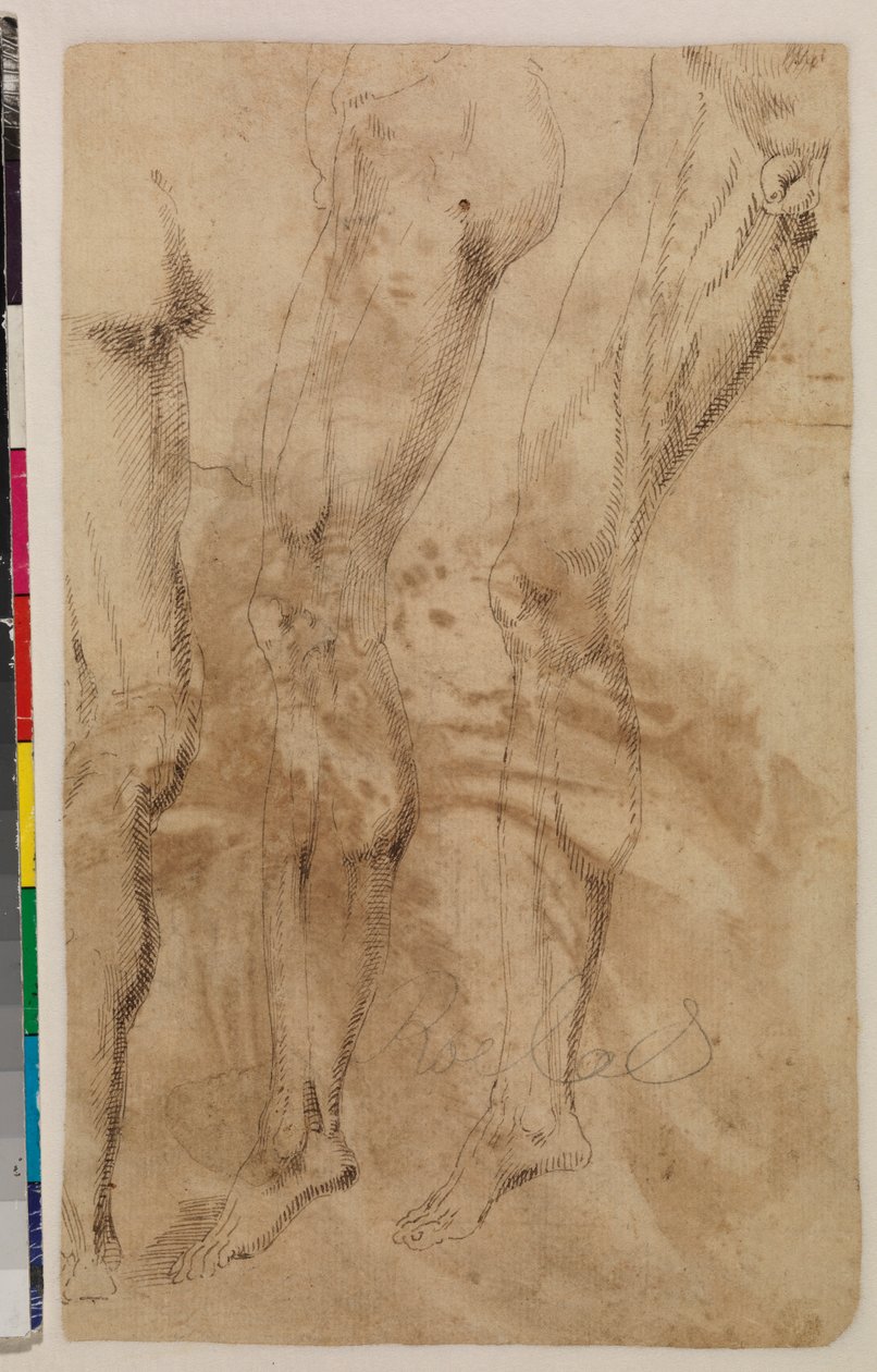 Tre studier av ett manligt ben (verso) c.1537 (penna och brunt bläck på lagt papper) [se 5948317] av Alonso (workshop of) Berruguete