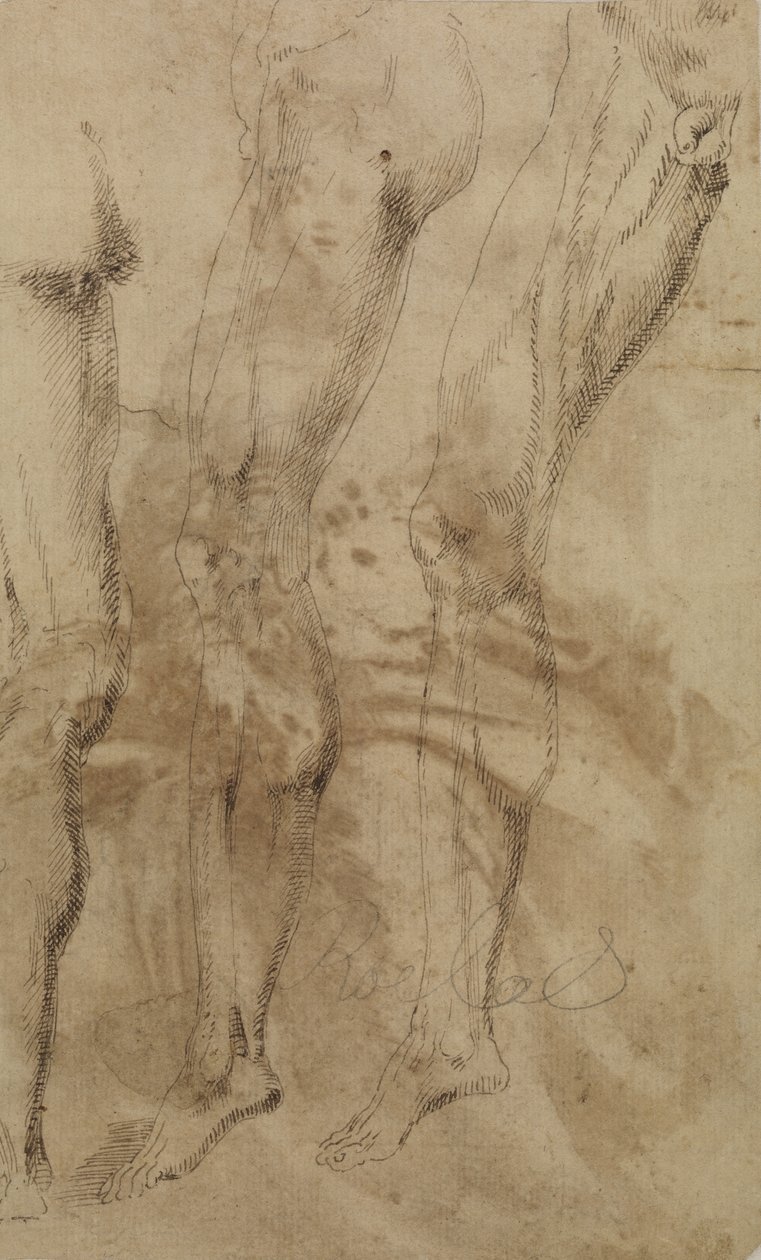 Tre studier av ett manligt ben, c.1637 av Alonso Berruguete