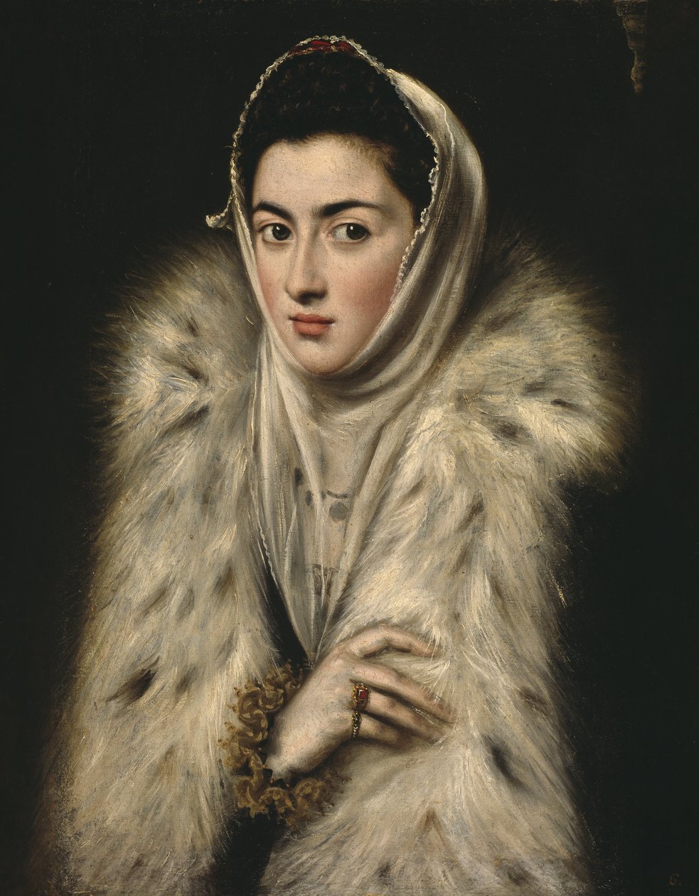 Lady in a Fur Wrap (olja på duk) av Alonso Sánchez Coello