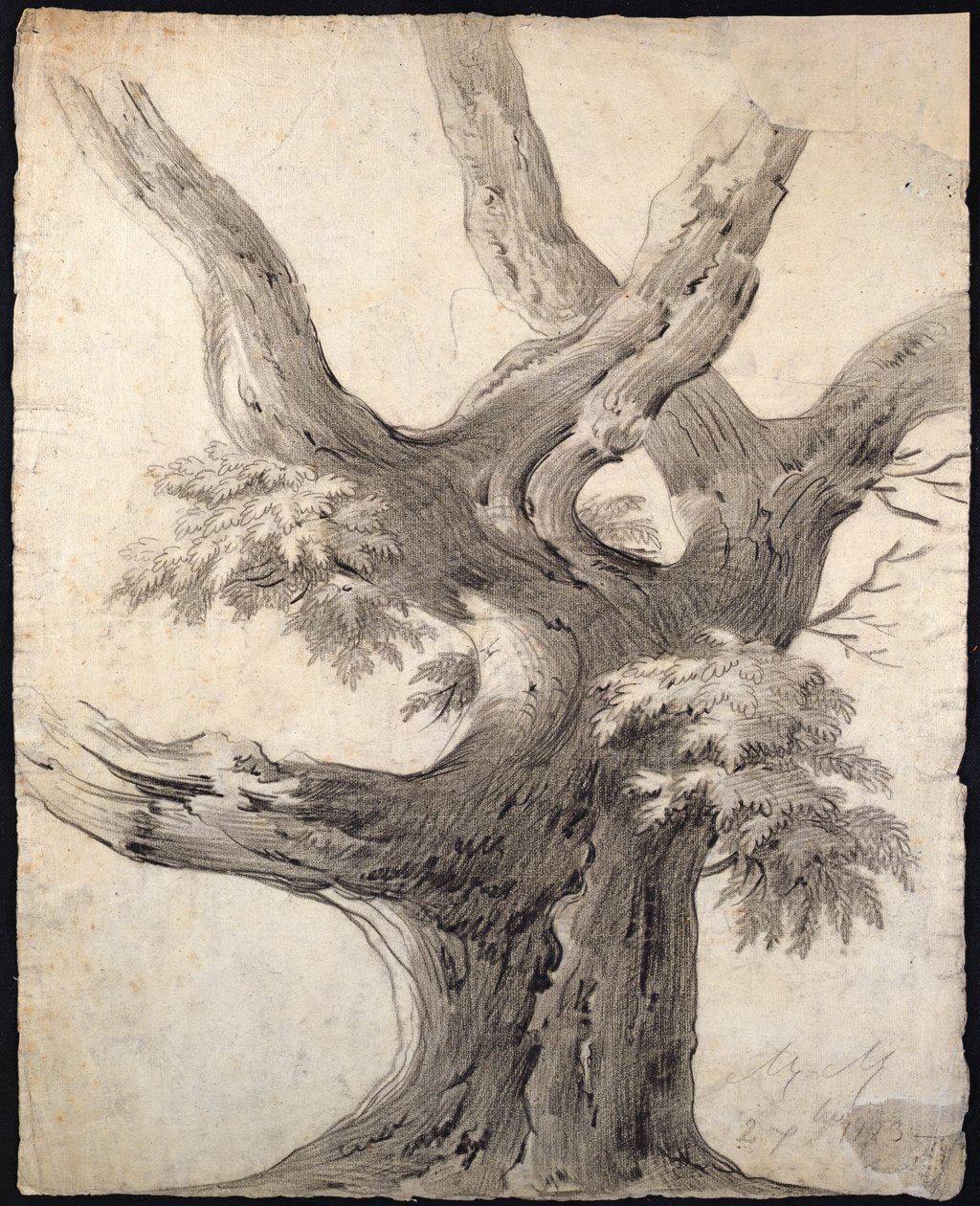 Study of a Tree, 1823 (kol på papper) av Alphonse Nicolas Michel Mandevare